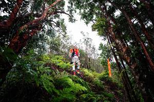 BIB: 
                            <button type="button" onclick="openModal(26201903)" class="btn btn-primary btn-sm float-right btn-popup" data-toggle="modal" data-target=".modal-high-quality">
                        <i class="fas fa-shopping-cart"></i> Add to Cart
                    </button>
                                            <button type="button" onclick="isThisMe(26201903, true)" class="btn btn-success btn-sm float-right btn-popup btn-isme hidden" data-toggle="tooltip" data-placement="bottom" title="นี่คือรูปของคุณใช่ไหม คลิกที่นี่เพื่อเอาเข้าอัลบั้ม">
                        <i class="fas fa-plus"></i> Add to album
                    </button>
                    <button type="button" onclick="isThisMe(26201903, false)" class="btn btn-warning btn-sm float-right btn-popup btn-isnotme hidden">
                        <i class="fas fa-ban"></i> Remove from album
                    </button>